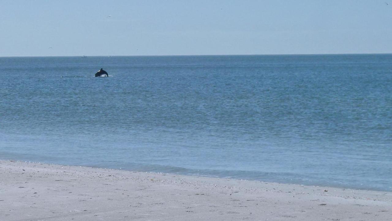 Sunset Beach House 3Br Villa St. Pete Beach Esterno foto
